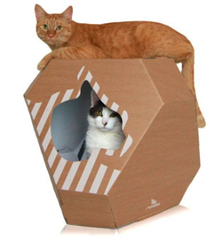 MIA dwustronny domek dla kota