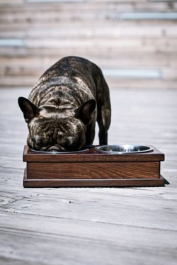 Miska Grande Kasztan