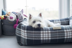 Legowisko Scott Grey